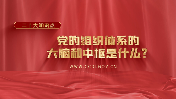 二十大知识点丨党的组织体系的大脑和中枢是什么？