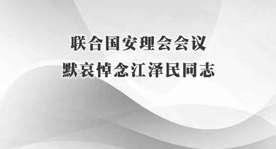 联合国安理会会议默哀悼念江泽民同志
