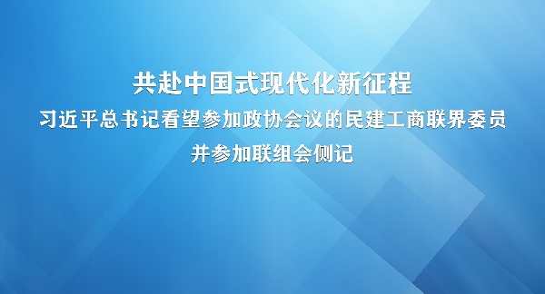 共赴中国式现代化新征程 习近平总书记看望参加政协会议的民建工商联界委员并参加联组会侧记