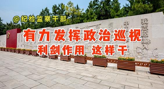 @纪检监察干部丨有力发挥政治巡视利剑作用