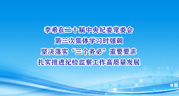 李希:坚决落实“三个务必”重要要求 扎实推进纪检监察工作高质量发展