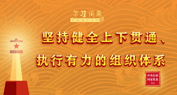 学习词典•习近平党建思想丨坚持健全上下贯通、执行有力的组织体系